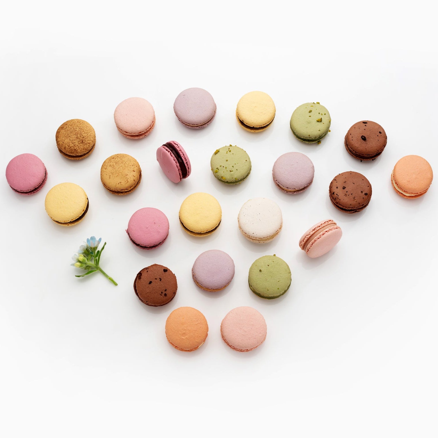 Homemade Macaron – 台北文華東方酒店 Mandarin Oriental, Taipei