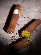 Load image into Gallery viewer, Pistachio Chocolate Cigare